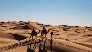 camel ride in saraha desert